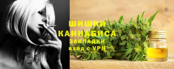спайс Арсеньев