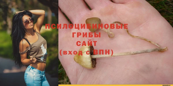 spice Михайловка