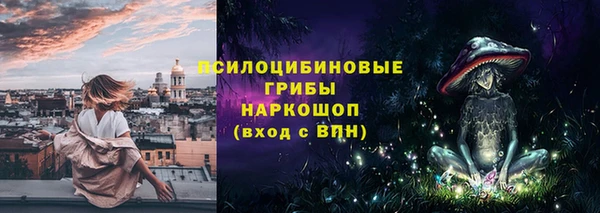 прущие грибы Армянск