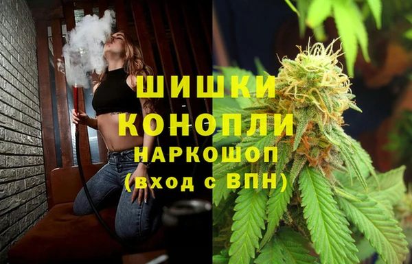 спайс Арсеньев